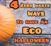 4 Zero Waste Ways to have an Eco-Friendly Halloween